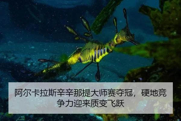 a-er-ka-la-si-xin-xin-na-ti-da-shi-sai-duo-guan-ying-di-jing-zheng-li-ying-lai-zhi-bian-fei-yue-3-226.jpg