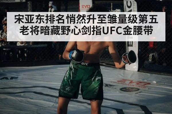 宋亚东排名悄然升至雏量级第五 老将暗藏野心剑指UFC金腰带